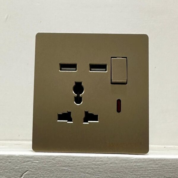 Executive Gold Universal Power Socket with 2 USB Ports & Switch